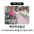 허브 식물과 향기의 이용 | 제주허브동산 / 드넓은 허브 수목원 + 족욕 체험 / 제주 동쪽여행 표선 가볼만한 곳