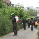 백로서식지 이미지