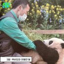 박윤헤어 | 2024년 한해동안 월별로 일어났던 화제몰이 이슈사건 요약