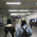 일단 하자 근데 대충을 곁들인