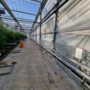 정읍체육관 강당 | 토마토 비닐 하우스난방 - 온도 ±0.3℃, 습도 75~85%, 난방비 80% 절감의 비결