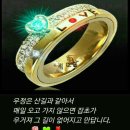 어디손국수물회 이미지