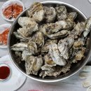 석화 이미지