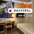 벳푸에서 고쿠라 일본 버스이용법 / 퀸테사 호텔 고쿠라 코믹 앤 북 가성비호텔
