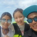 디다이브