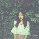 새라 티스토리
