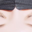 로덱스 이미지