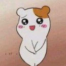 [프로젝트] 내가 꿈꾸는 공방 | [공지] 내 취미는 독서다. 다독을 꿈꾸는 보여주기독서광 2025 추천 독서