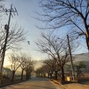 마이다스 구미 골프 아카데미 | 구미 가산 마이다스CC 9홀 겨울 라운드 후기 (페어웨이, 그린 상태)