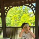 손바닥공원 농구장 이미지