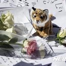 인형의 거리(호랑이 이미지