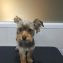 마곡나무 동물병원 이미지