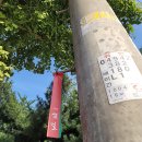 소사벌레포츠타운 소사벌인조잔디구장 | 평택섶길 1-1길 시내길 (2023.10.10.)