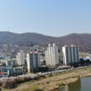 경안천로 Daum카페