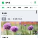 보로하 이미지