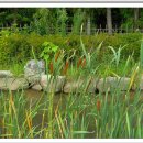 대연수목전시원 이미지