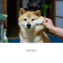 공감치과 이미지
