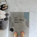여전히스물
