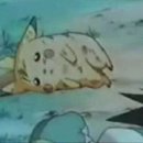 (주)닭으로가 이미지