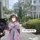 트윈독스 이미지