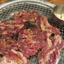 못난이돼지 이미지