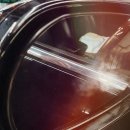 ENGIN CHECK 이미지