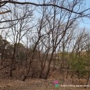 조기수 묘역 이미지