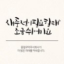 썬드림 주식회사 Daum카페