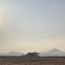 순천만 천문대 화장실 이미지