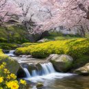 꽃과나무(Flower tree) 이미지