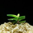 두엽농장 이미지