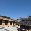 마을산책 | 강원도 고성 가볼만한곳 봄빛 머금은 왕곡마을 산책코스 다녀온 후기