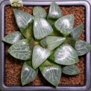 월영농장 이미지