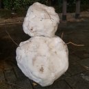 강남동로 이면도로2 | [내돈내산] 12월 일상 조각 모음