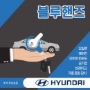 호동 타이어 정비(곡반점) | 2023년 추석 블루핸즈 특별 무상 점검 후기/ 곡반점