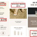 샌디가든 이미지