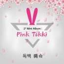 핑크토끼 전자신문