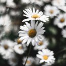 희망센터 이미지