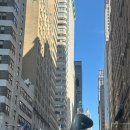 월가힐링 | 뉴욕 9월 여행) 뉴욕 리베스냅 찍어보기( 월가,덤보,리베스냅,린더스트리 피자,도미노파크,재즈바 메즈...