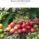 디코드커피 이미지