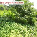 연제구-121 이미지