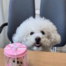 후에이트디스케이크 이미지