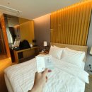 JS편의점 | 강원도 정선 가성비 호텔 JS그랜드 팰리스 1박2일 숙박 후기(feat. 내돈내산, 슈페리어더블, 마운틴뷰)