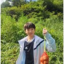 호평 용인대 미르 태권도장 | 호평성인태권도 몸과 마음이 새로워지는 태권도 도전기