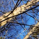 의료법인 아인의료재단 성암요양병원 이미지