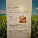 [월계동/석계역 빵집] 인생 에그타르트를 찾은 그레도 제빵사 후기