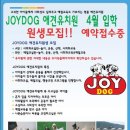 조이 애견 유치원 이미지