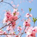 두메산골 농장 이미지