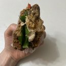 파리바게트 샌드위치 종류 및 가격 (파란라벨 빵 샌드위치 내돈내산 후기)