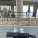 피제이메디 | [월기_2024.06] 이땐 몰랐죠,, 가장 평화로웠던 6월임을,,,ㅠ